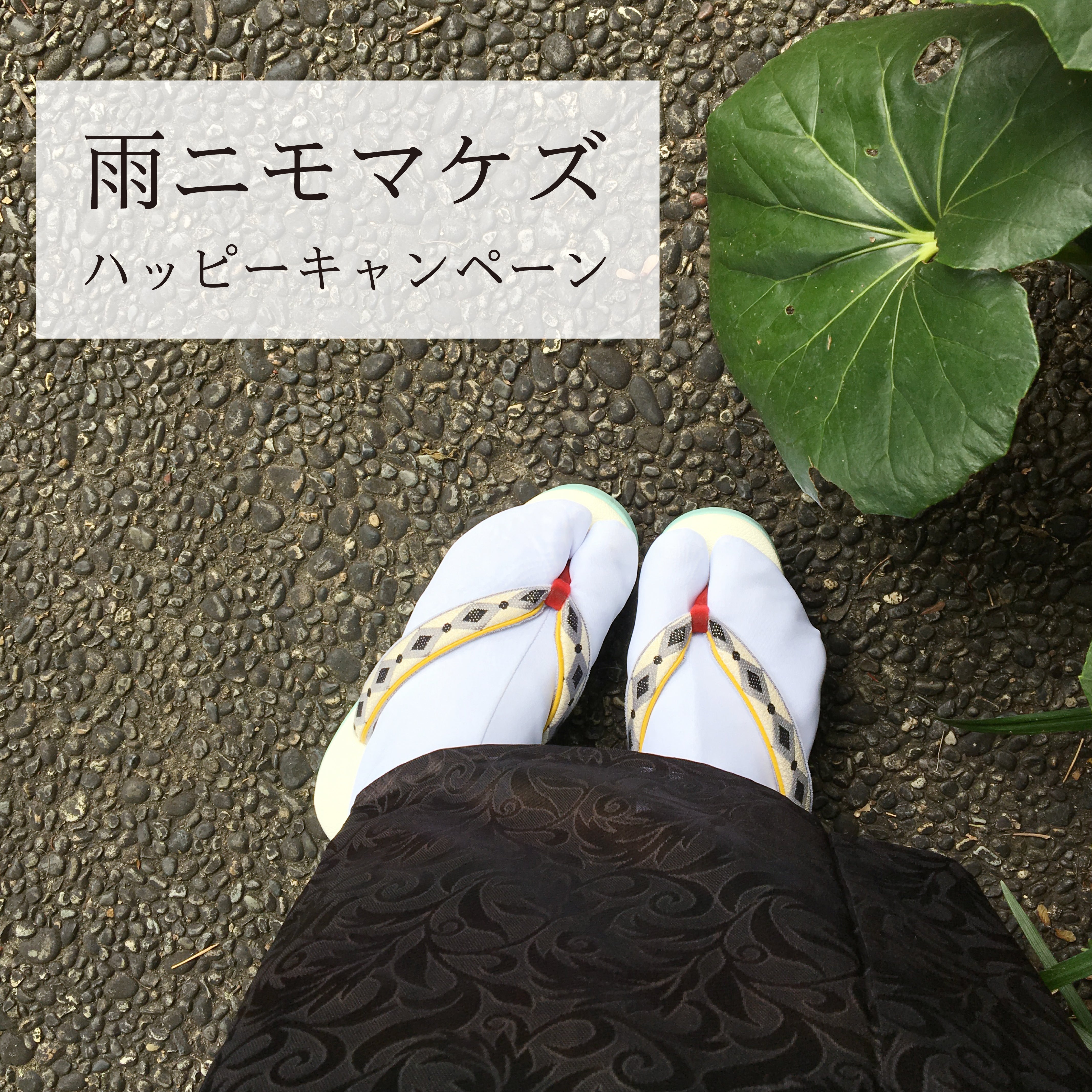 雨ニモマケズ　ハッピーキャンペーン　〜　晴雨兼用草履 50%OFF